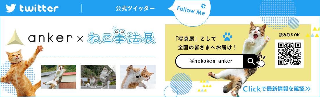 ねこ拳法展公式ツイッター