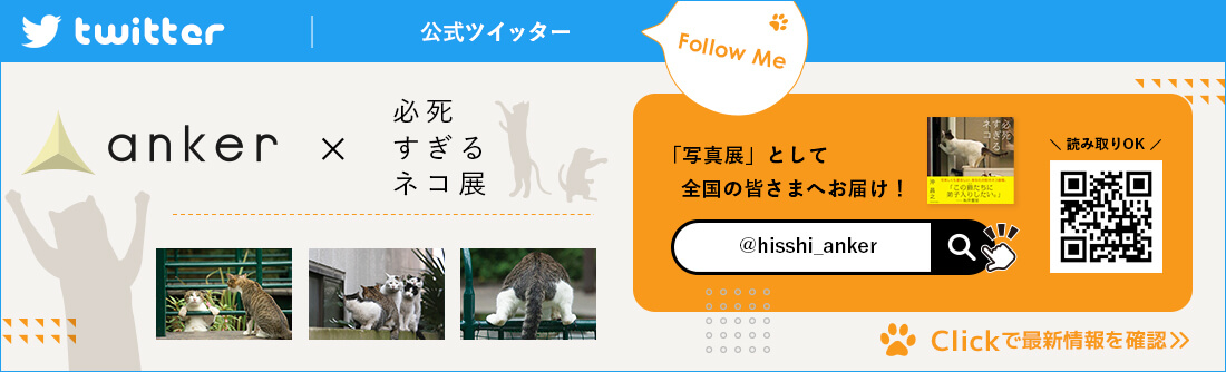 必死すぎるネコ展公式ツイッター