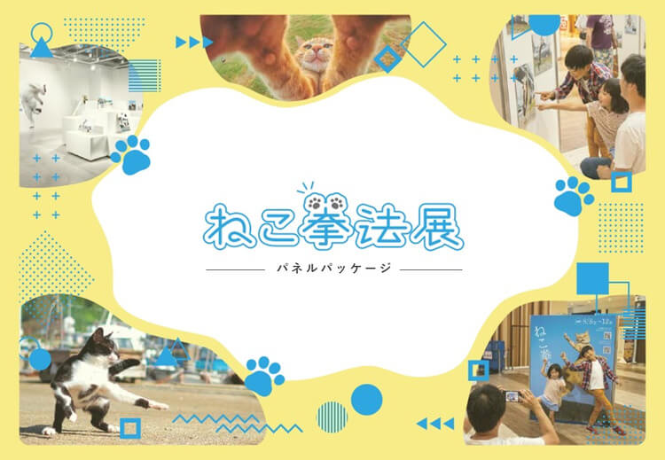 ねこ拳法展
