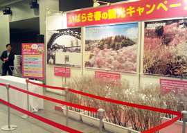 いばらき 春の観光キャンペーン in 札幌