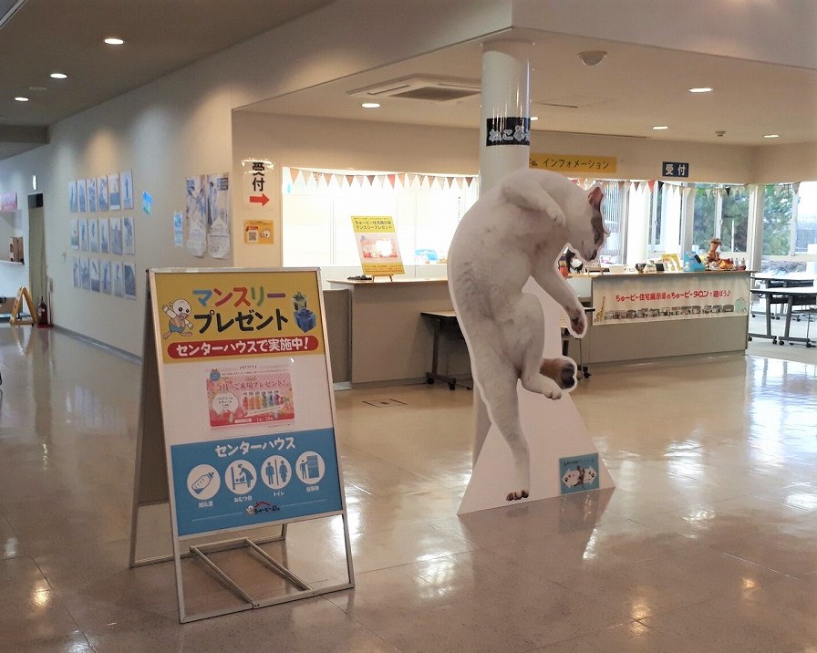 ねこ拳法展inちゅーピー住宅展示場