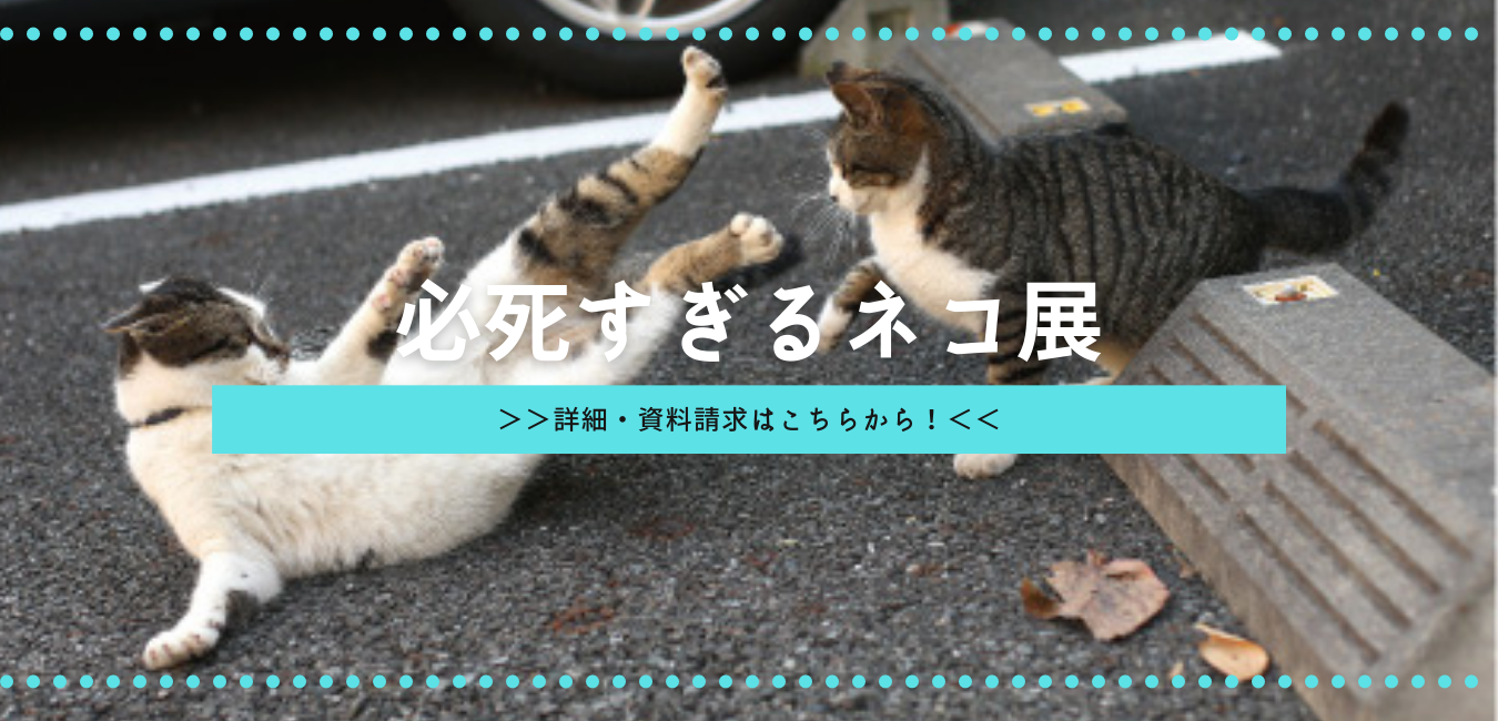 必死すぎるネコ展リンク画像