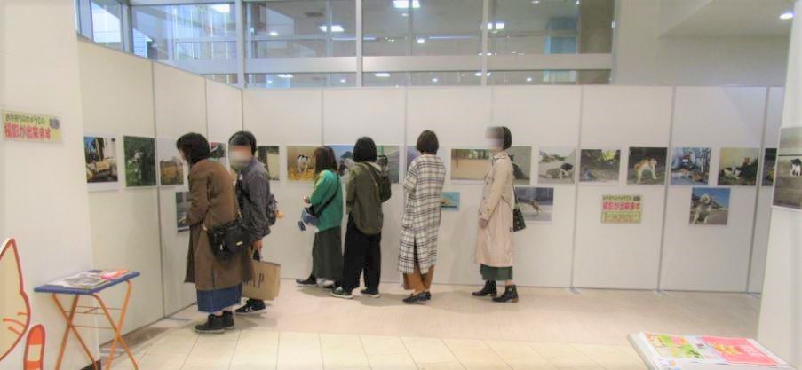 写真パネル展「必死すぎるネコ展」inイオンタウン防府