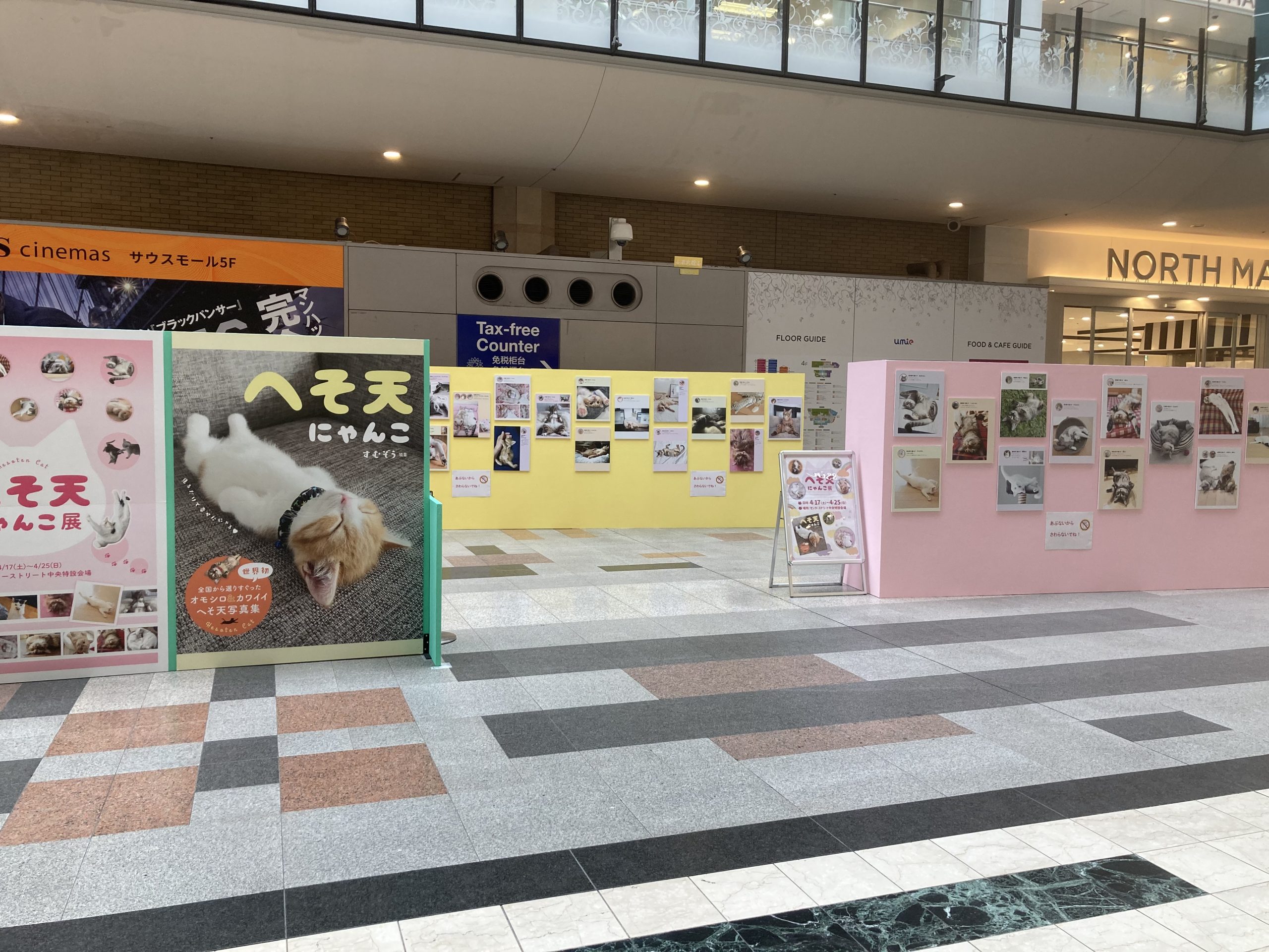 写真パネル展「へそ天にゃんこ展in神戸ハーバランド 」