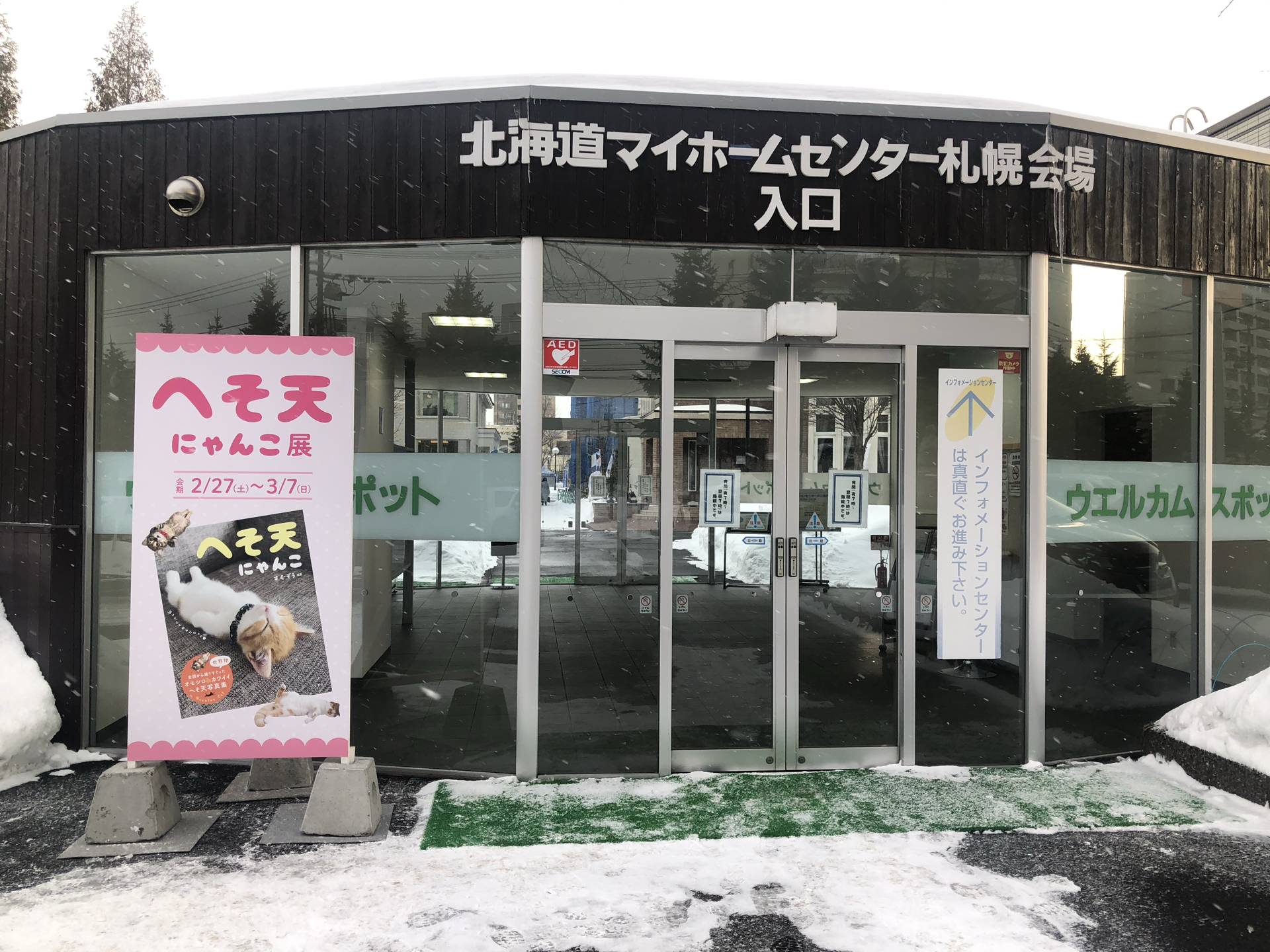 写真パネル展「へそ天にゃんこ展in北海道マイホームセンター」