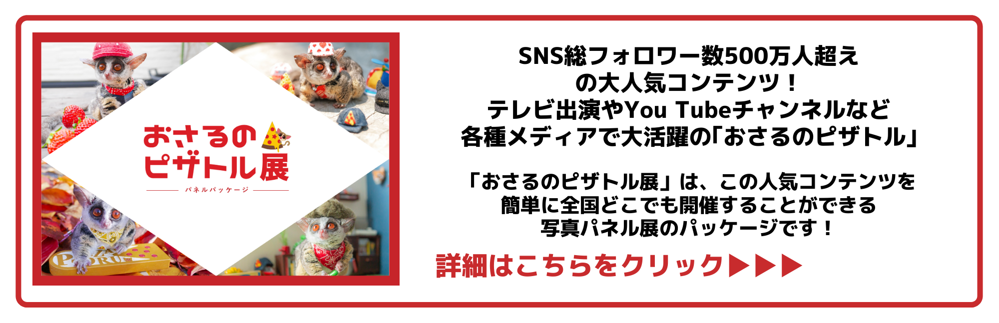 ピザトル詳細サイトバナー
