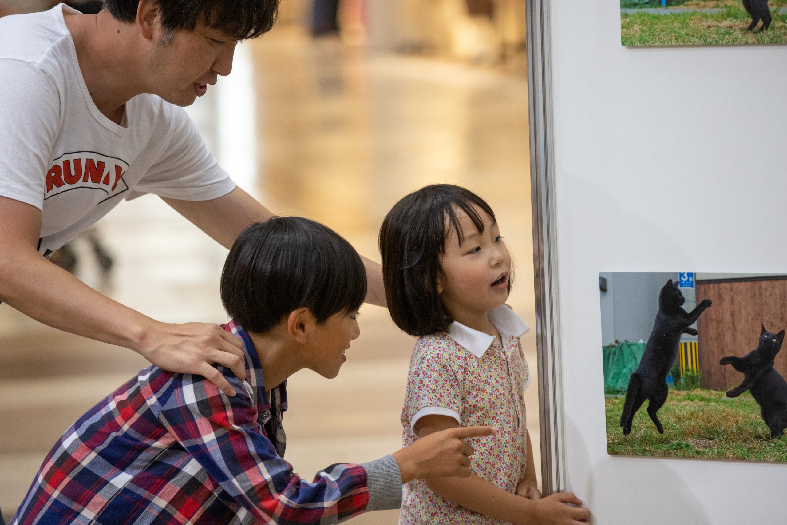 写真パネル展「ねこ拳法展inイオン苫小牧」