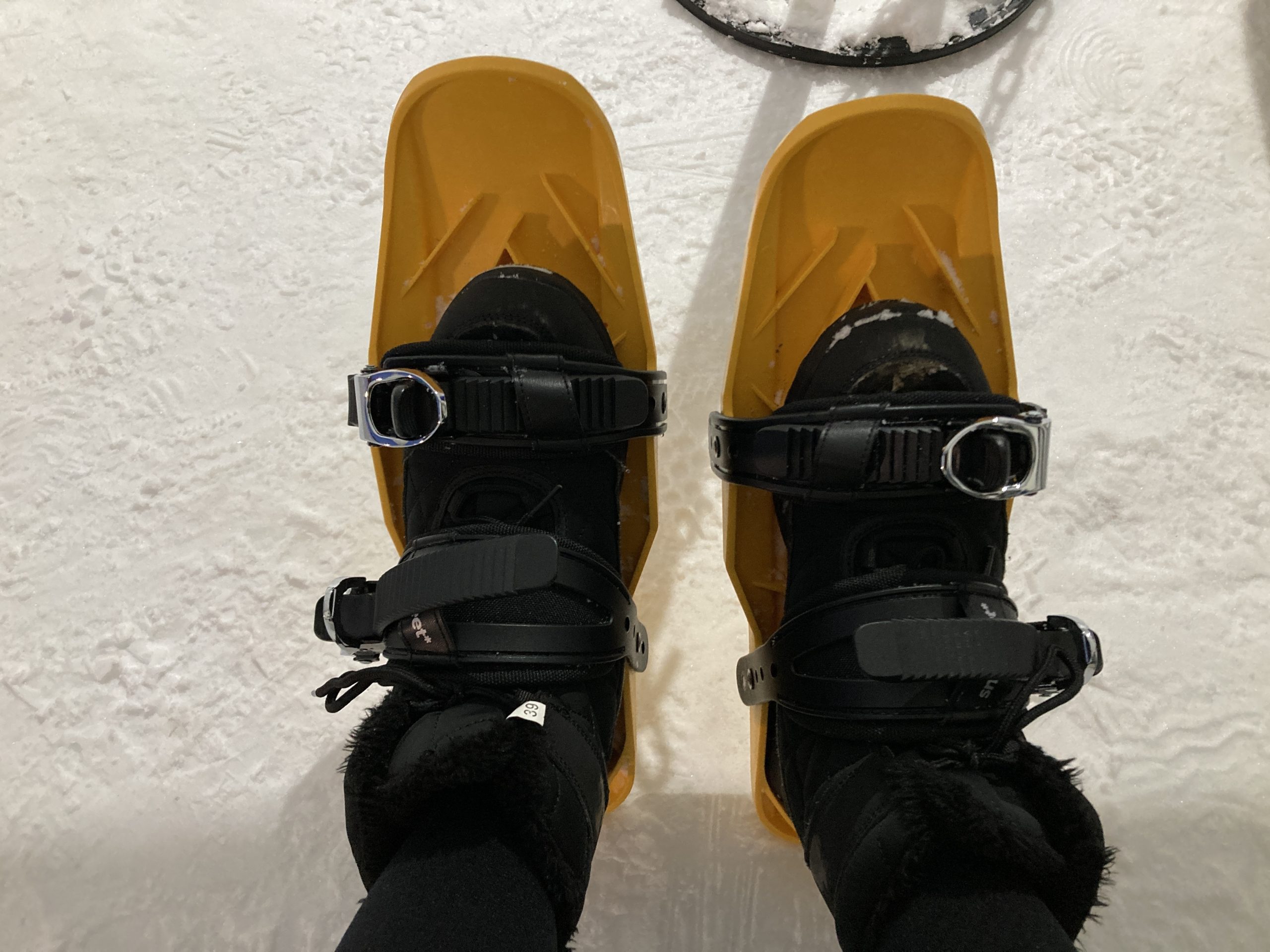 sf02