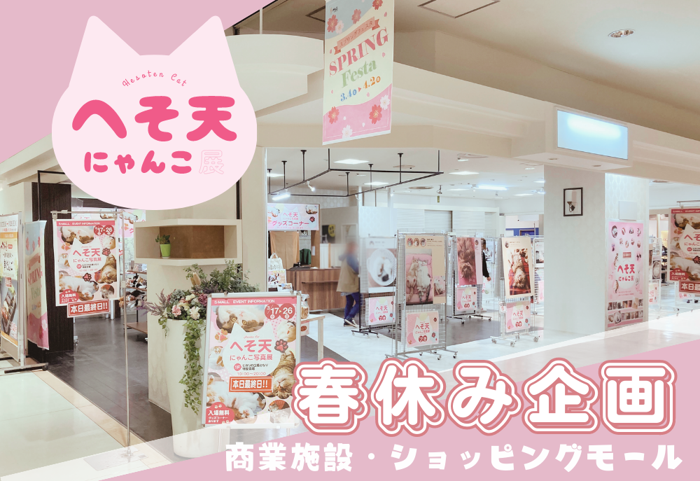 へそ天にゃんこ展 in  S-MALL（エスモール）