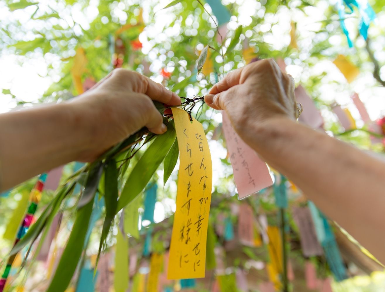 tanabata